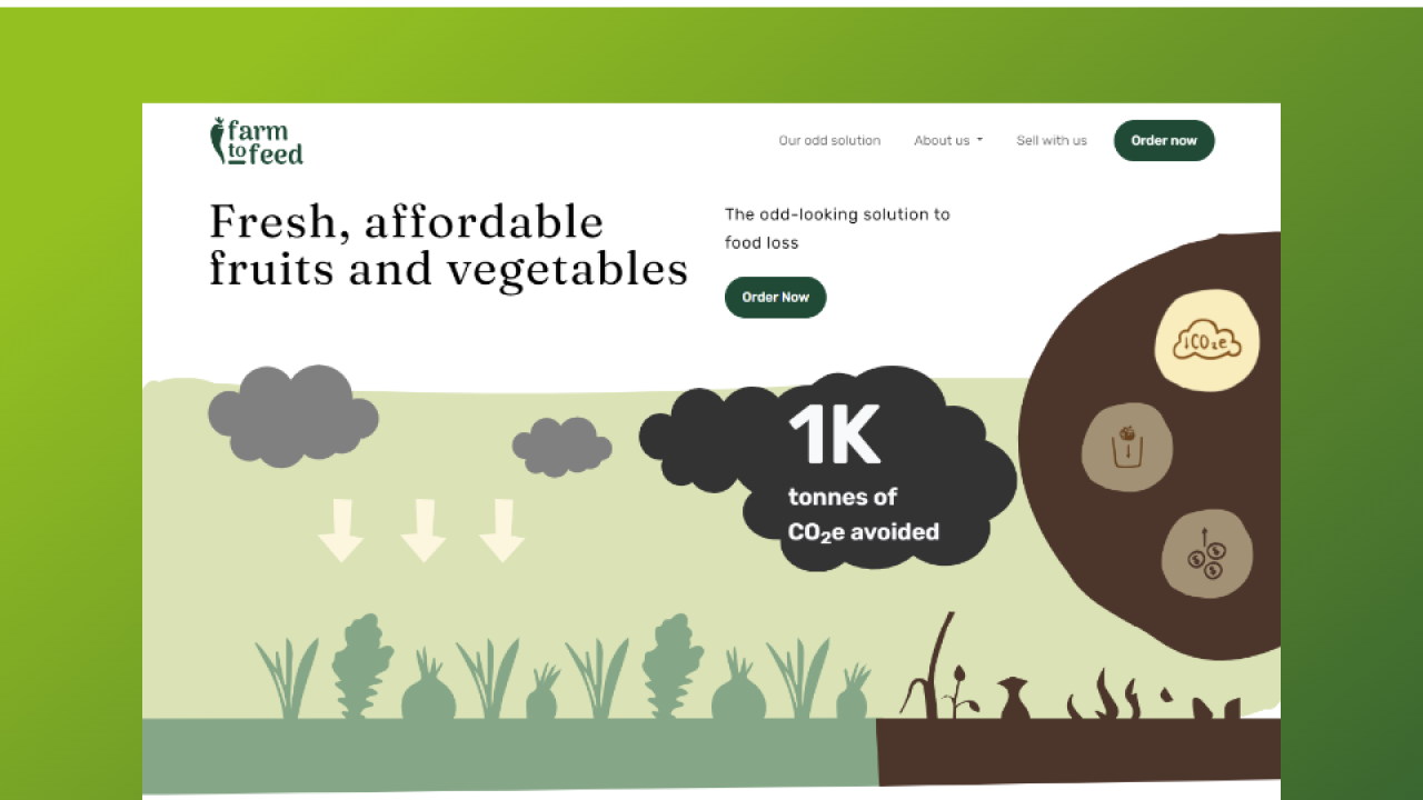 Farm to Feed - Website & Blog
